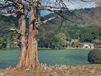 Fausto Pinto da Fonseca